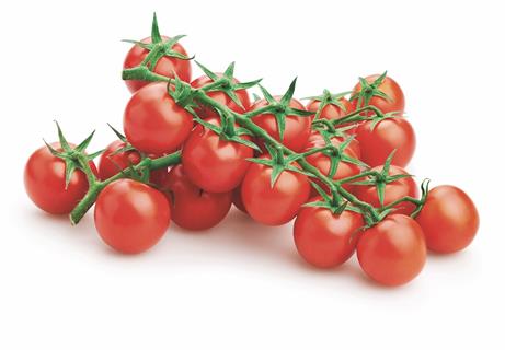 Duroc Expands Its Tomato Sales Across Europe